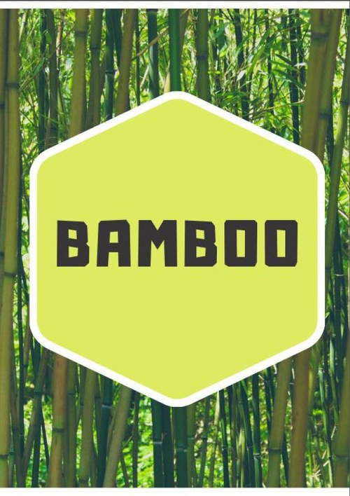 Product picture Bamboo