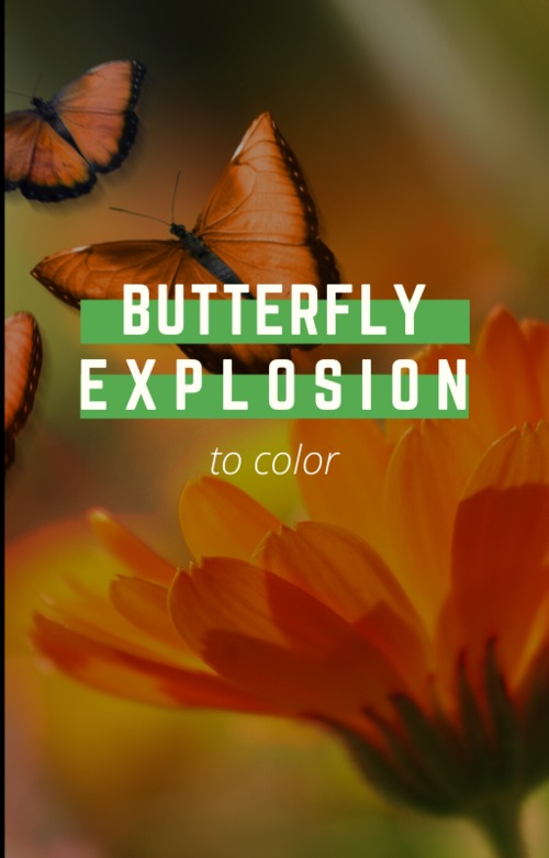 Product picture Butterfly Explosion